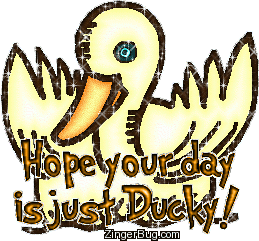 Hope your day is ducky.. Animals - 